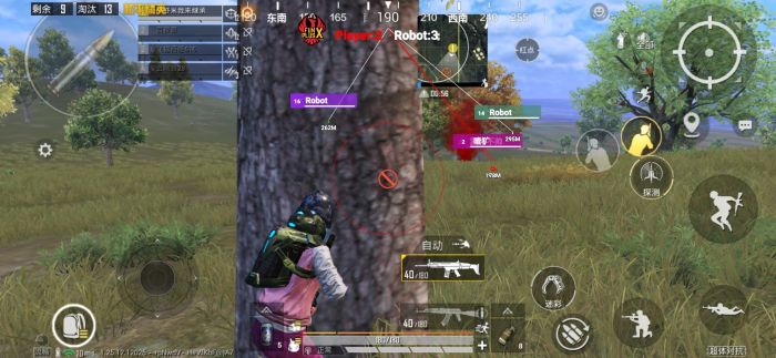iOS上有和平精英辅助吗（ios和平精英辅助容易封吗）